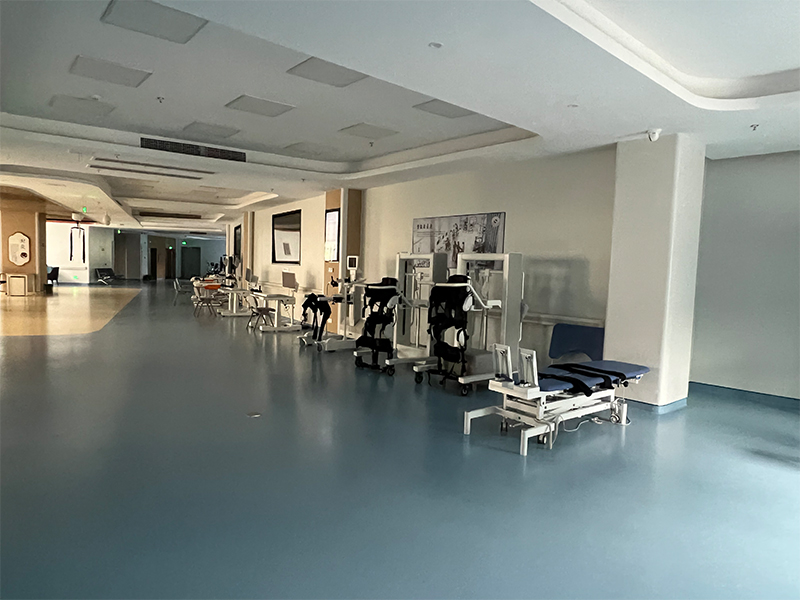 Exercise Therapy