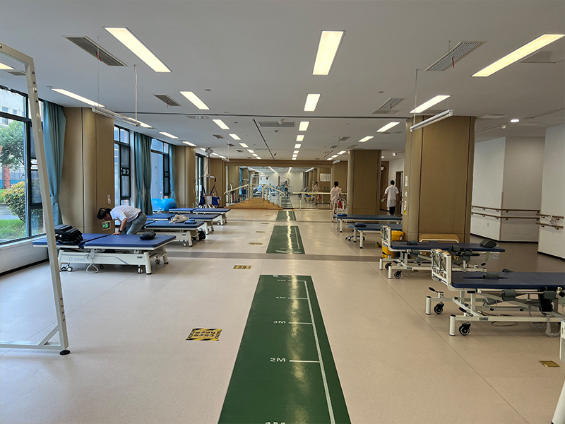 Medical Bed